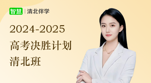 2025高三清北伴学决胜计划-政治系统班（百日冲刺）